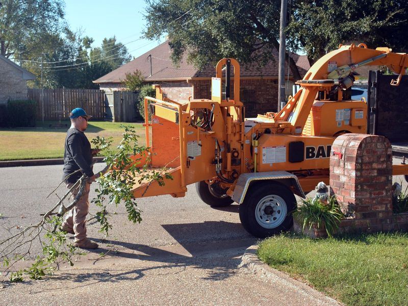 Tree removal job in the Indian Spring neighborhood of Silver Spring