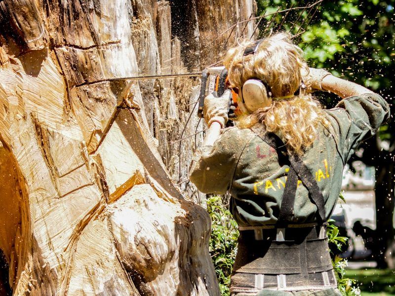 Tree removal job near Rockville, MD